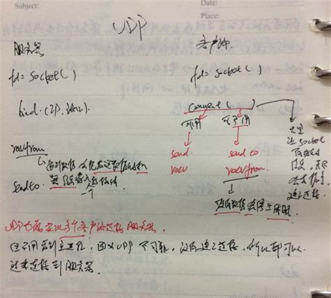 有关编程的作文