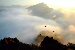 陕西终南山介绍，别再去人挤人的景区了！终南山才是你该去的地方