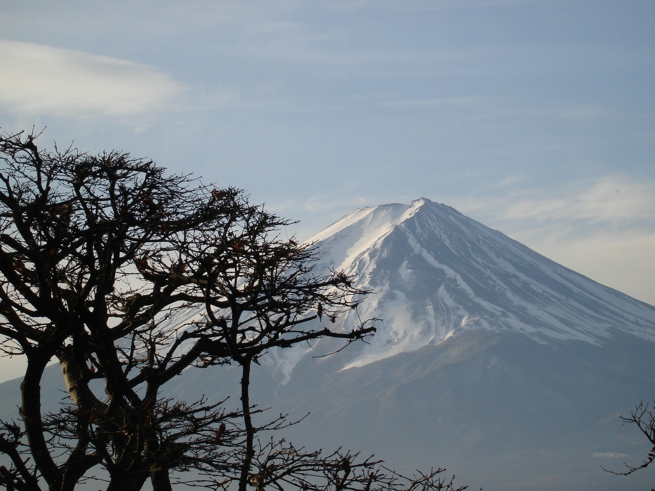 日本樱岛火山喷发震撼全球，烟柱高达2700米