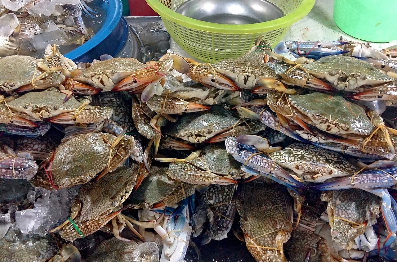 都江堰景区内美食